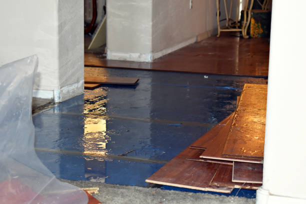 Professional Crawl Space Water Removal technician working in Garland, ME